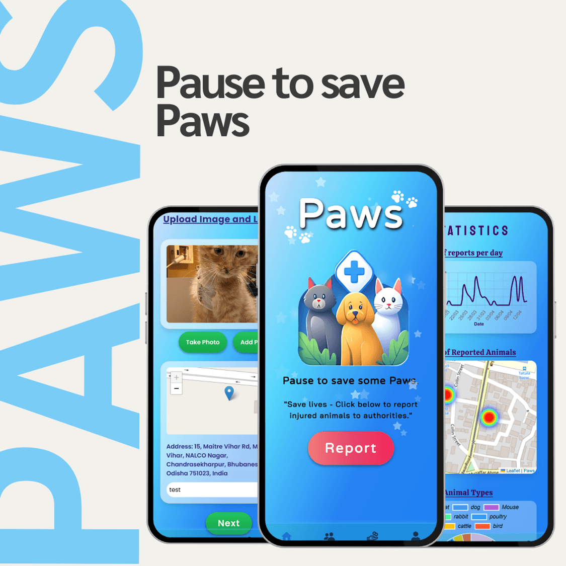 A project from Paws